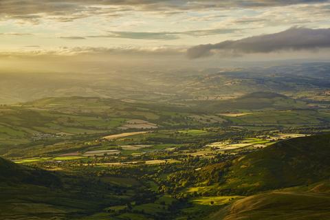 The patchwork landscape